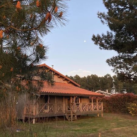 Le Gite De L'Aerogrange Biscarrosse Buitenkant foto