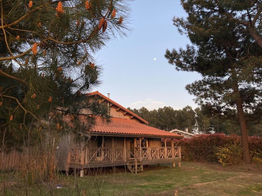 Le Gite De L'Aerogrange Biscarrosse Buitenkant foto